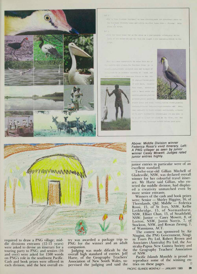 Page 29