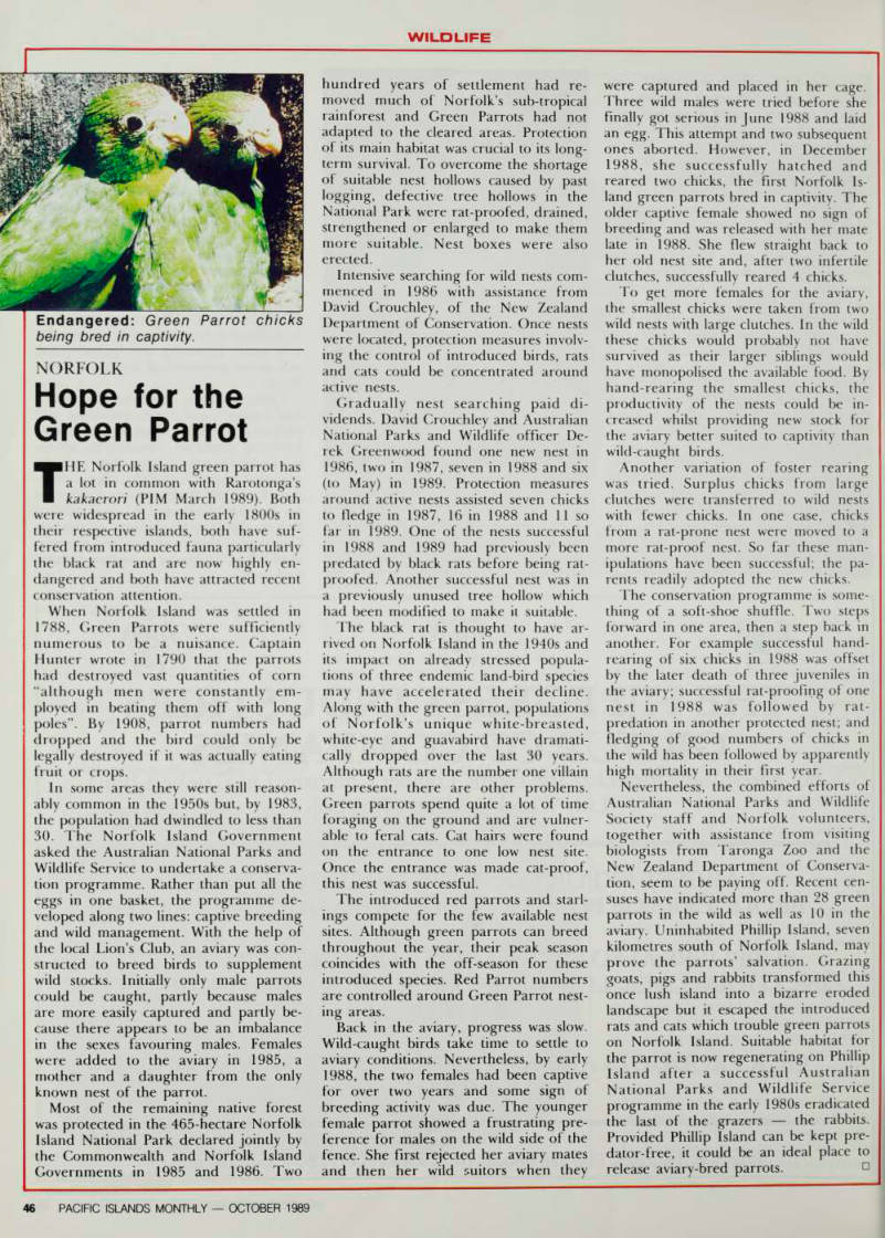 Page 46